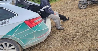 Vairavo be teisės ir valstybinių numerių Vairavo be teisės ir valstybinių numerių
